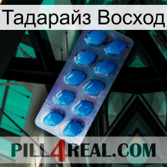 Тадарайз Восход viagra1